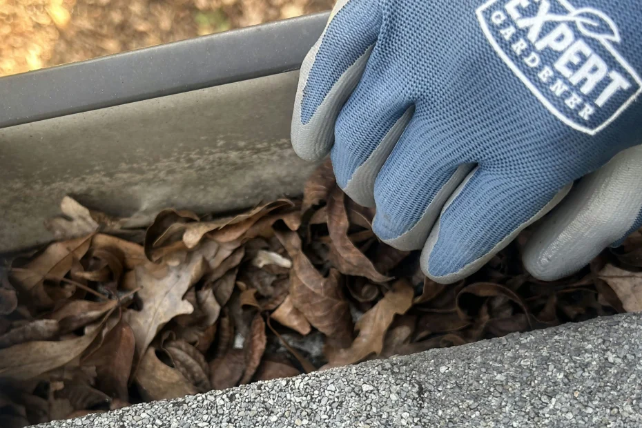 Gutter Cleaning McDonough GA