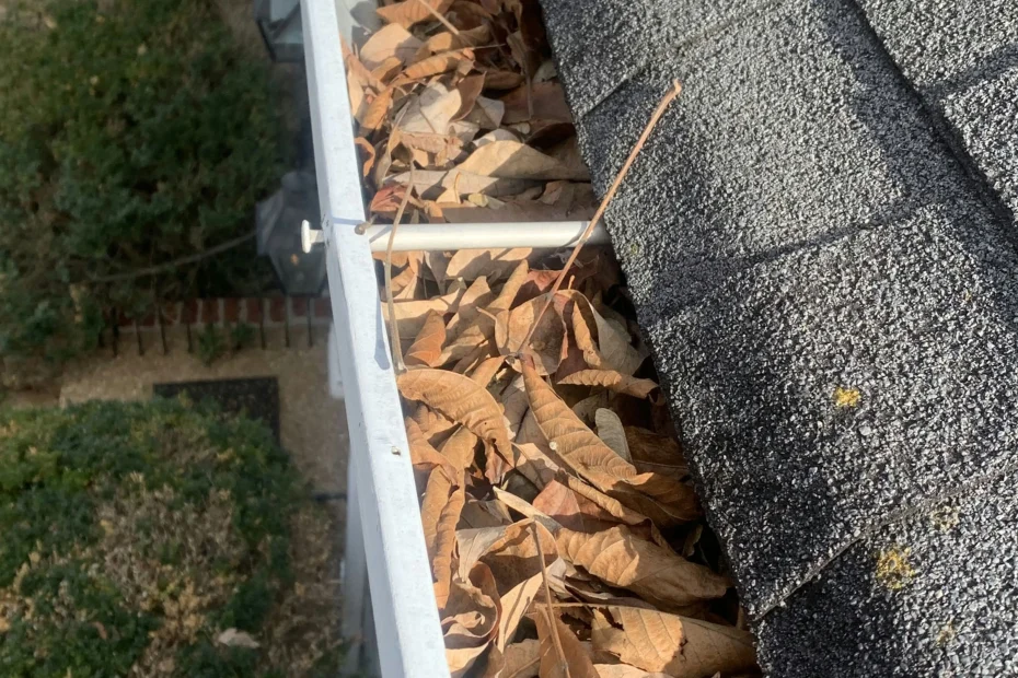 Gutter Cleaning McDonough GA