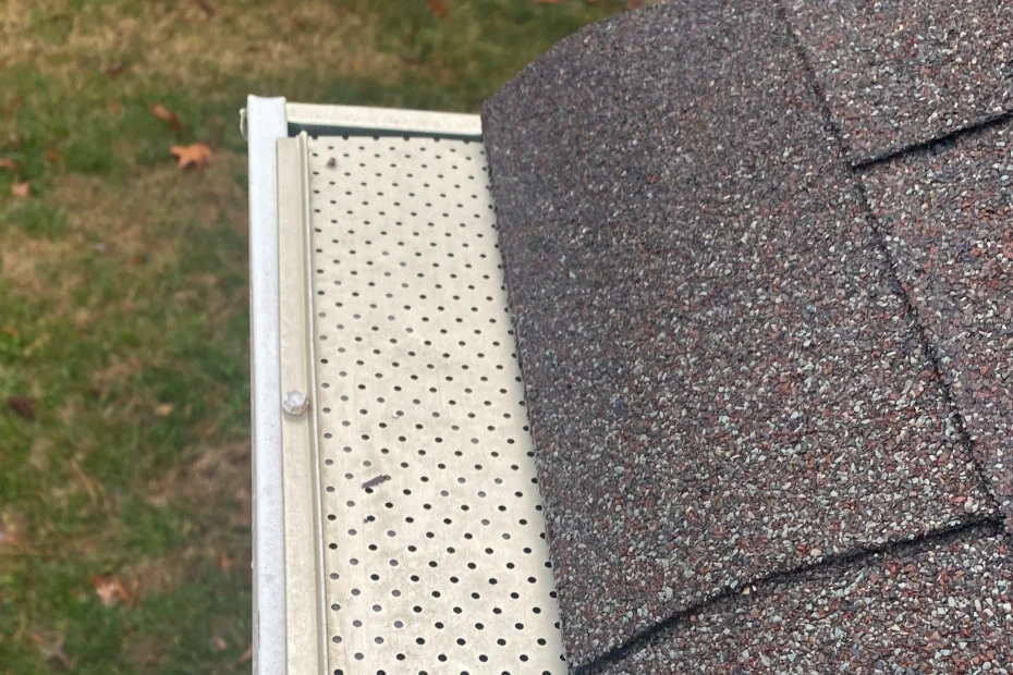 Gutter Cleaning McDonough GA