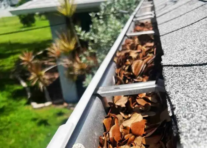 Gutter Cleaning McDonough GA home page